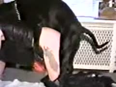 Beastiality: a black dog slapping a gorgeous woman